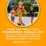 Promotions hôtels Walt Disney World